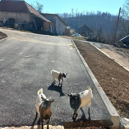 1 Nase Brdo 別荘 *