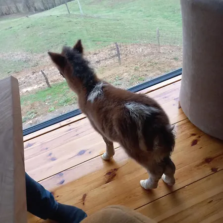 別荘 1 Nase Brdo Guča