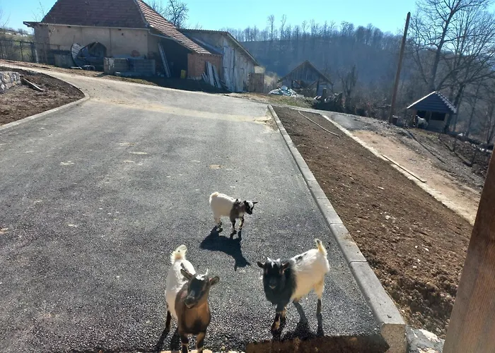 1 Nase Brdo 펜션 *