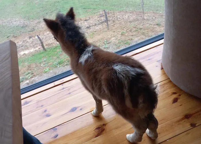 펜션 1 Nase Brdo Guča